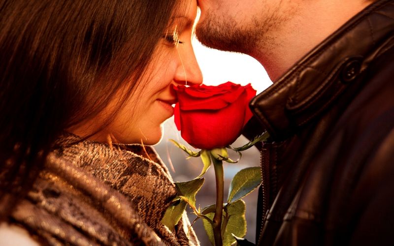 amorous guy kissing his girl with red rose