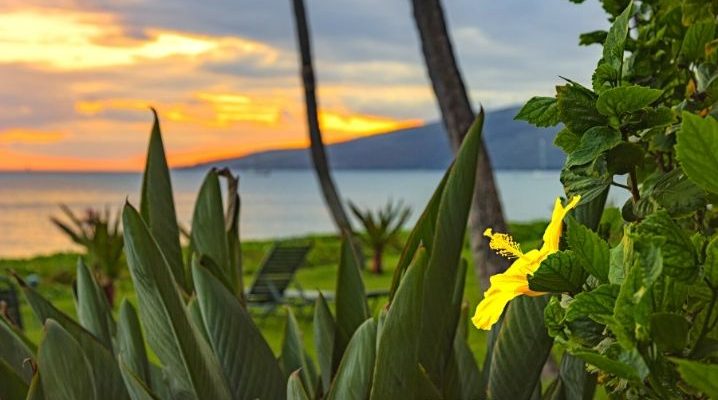 Best Islands to Visit in Hawaii for the First Time
