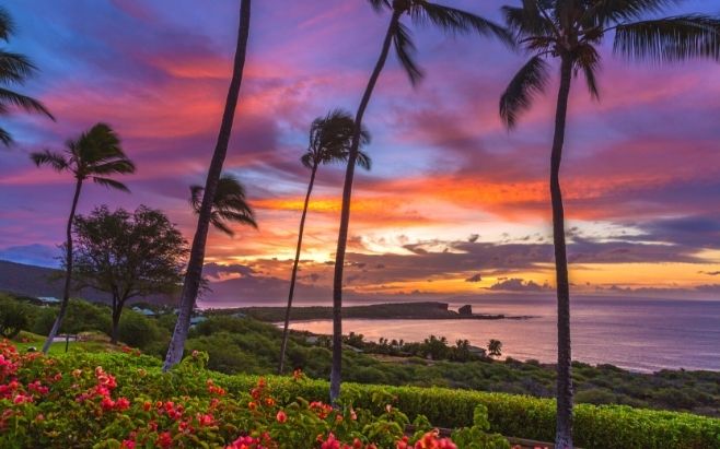 sunset beachfront with pink flowers and palm trees and green landscape