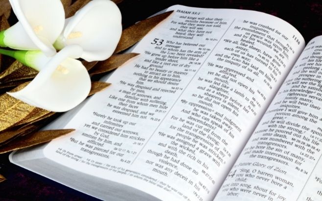 open Bible showing scriptures with flowers next to it