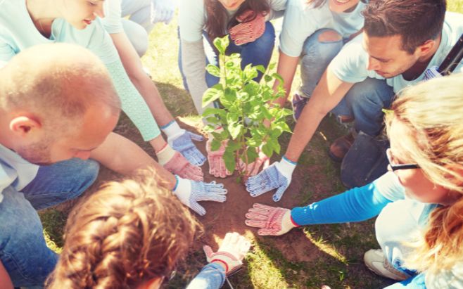group of people planting tree